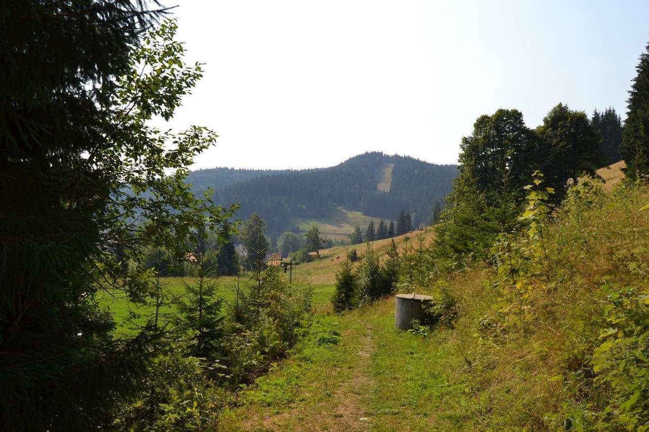 Areal Leskova Velke Karlovice