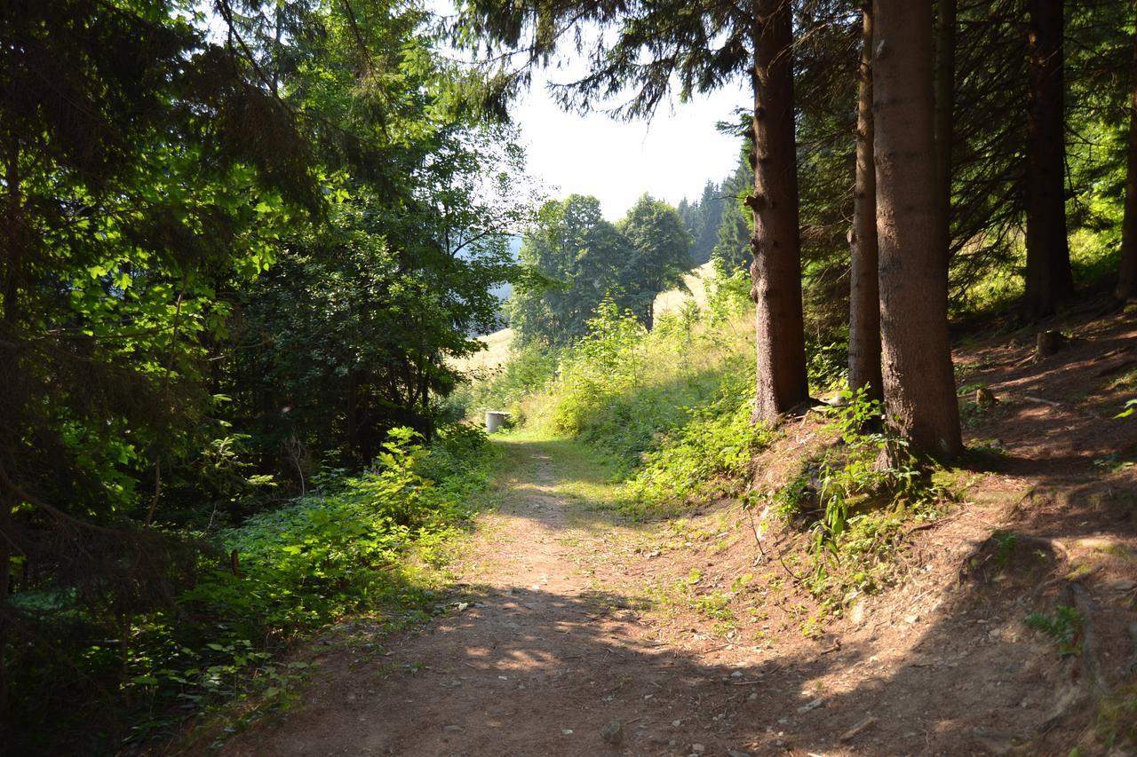 Areal Leskova Lodge Velke Karlovice