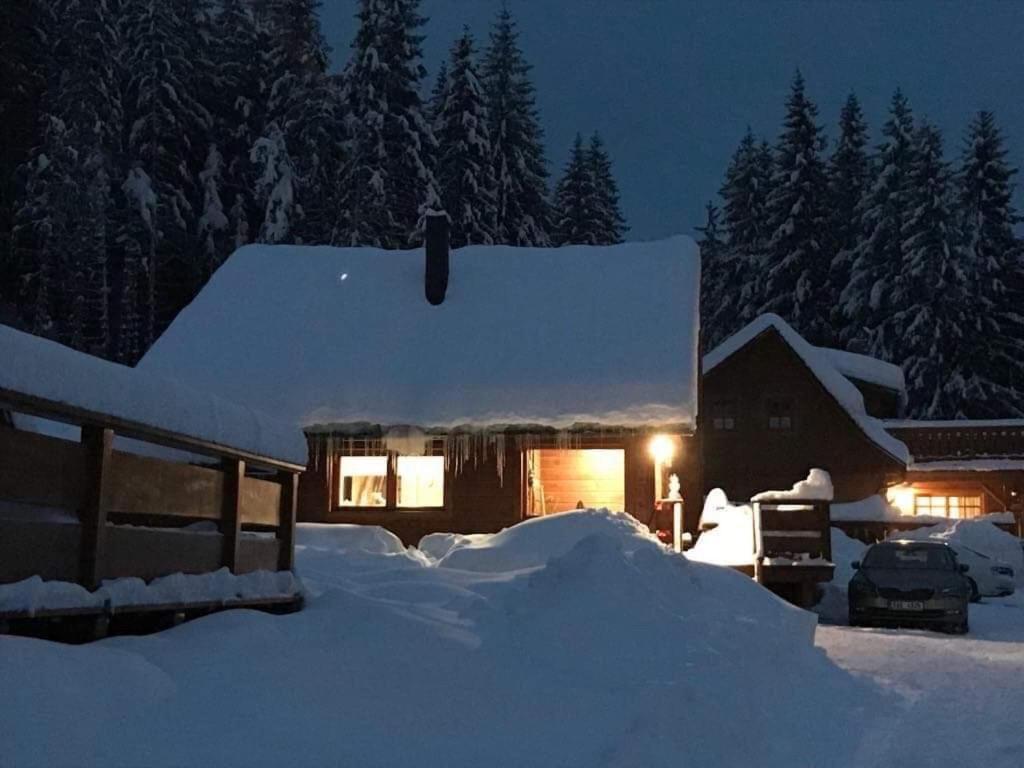 Lodge Areal Leskova